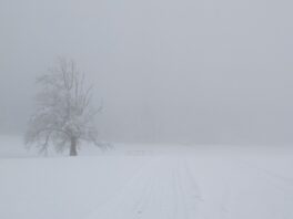 Loipenbericht Atzinger Loipe