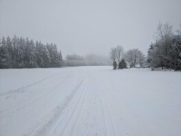 Loipenbericht Atzinger Loipe