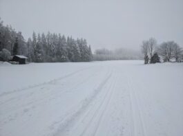 Loipenbericht Atzinger Loipe