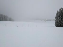 Loipenbericht Atzinger Loipe