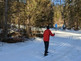 auf der Loipe in Reit im Winkl