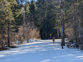 auf der Loipe in Reit im Winkl