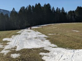 auf der Loipe in Reit im Winkl