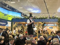 k-1Grainbacher Schnalzer