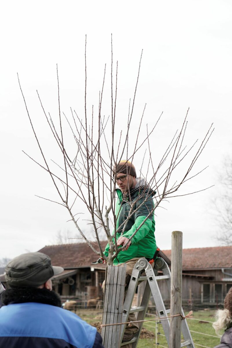 14_Ankündigung_Obstbaumschnittkurs