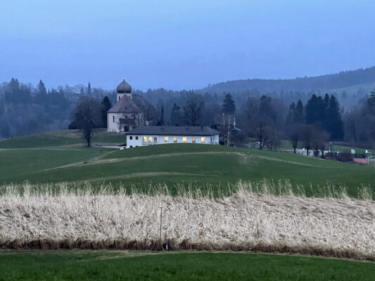 1Elefantengras-Abendstimmung