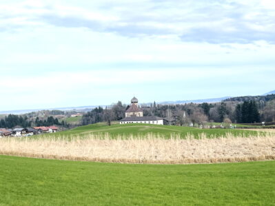 1Elefantengras-Wildenwart 2