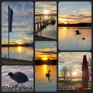 40bf71c1-9a1c-4361-9326-a5139fd5e446