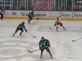 51aed0c1-ec47-4d3b-8cba-effe1a8804fc