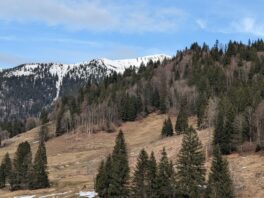 auf der Loipe im Heutall)