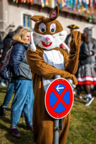 Faschingszug-Neubeuern-1120875