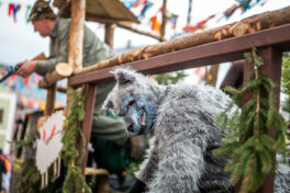 Faschingszug-Neubeuern-1130181