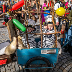 Faschingszug-Neubeuern-1150270