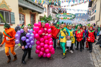 Faschingszug-Neubeuern-1150341