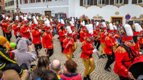 Faschingszug-Neubeuern-1150512
