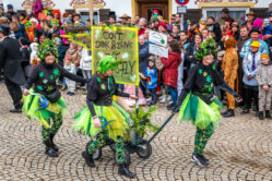 Faschingszug-Neubeuern-1150560