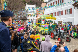 Faschingszug-Neubeuern-1150568