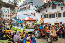 Faschingszug-Neubeuern-1150647