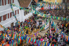Faschingszug-Neubeuern-1150845