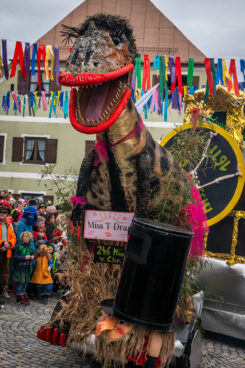 Faschingszug-Neubeuern-1150860