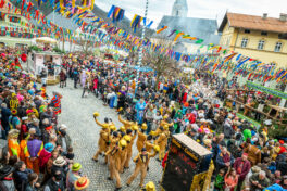 Faschingszug-Neubeuern-1150870