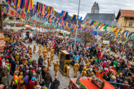 Faschingszug-Neubeuern-1150881