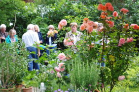 Garten in Prien-Atzing