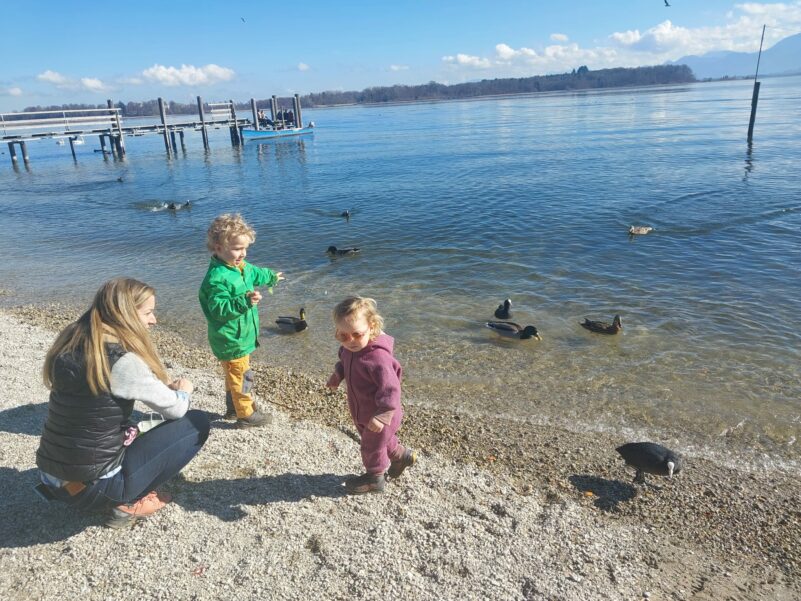 c4e97c06-1467-49ac-ae21-a19e60d661fa