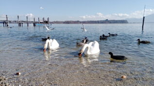 c6bfe60d-41c9-4f9e-abb3-aa8842708d01