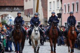 k-240207 Rossmarkt Pferde und Auftrieb_25