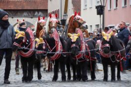 k-240207 Rossmarkt Pferde und Auftrieb_61