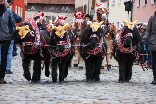 k-240207 Rossmarkt Pferde und Auftrieb_62