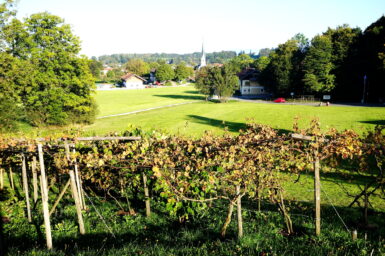 k3-Weinberg-Blick nach PRien 4