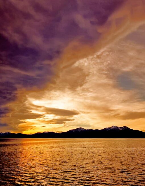 0792994e-0763-4e13-8054-03c8c1a89061