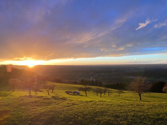 1f0e5455-4119-4e81-847e-fde4e6557983