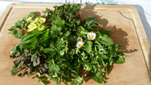 2024_Gründonnerstag (2)