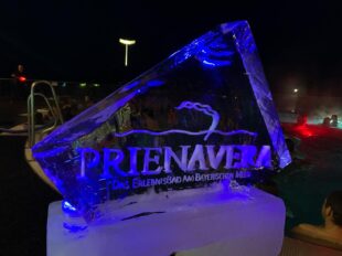 220125d7-62a4-4db1-8cb5-894e607cbd26