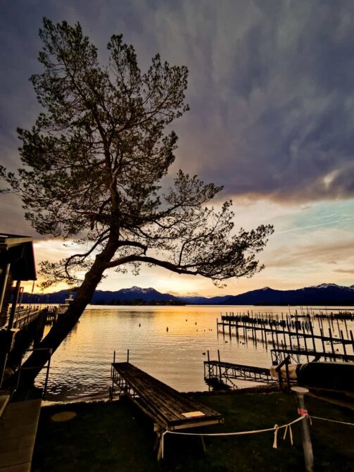 4b7ed9a9-0195-4998-8832-ded395b17e48