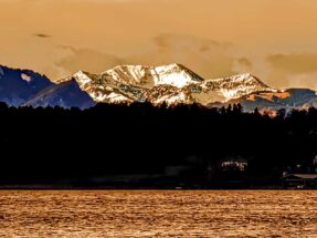 6ba4ee16-47ab-4f74-af82-f06347309966