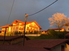 892c2b69-7141-4f9d-9e8a-ed73d0ef7b61