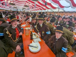 98b1f4e5-73cb-454f-92ba-8f608239a131