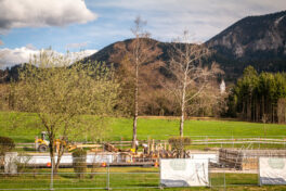 Naturbad-Samerberger-Filze-1170052