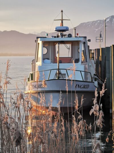 d06746c9-b4b2-452e-adf0-e3614a71d3d3