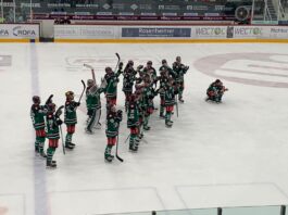 d403237a-51a7-4c67-ae9c-ea7f3474e307