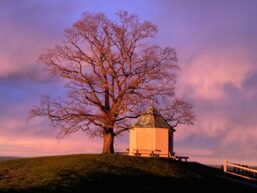 dba20912-c7b5-4821-a3fe-efba117f4fe8