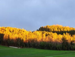 e0ef79e0-c110-410e-9a9a-5f3d3cfb3480