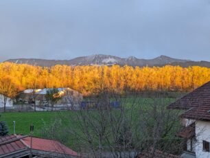 e5049538-fbf9-4b13-97c1-e96ec6a18e3b