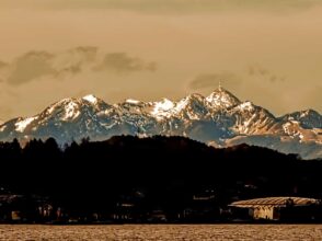 e96f8b69-0dbc-471d-90d2-334f7c378e9f