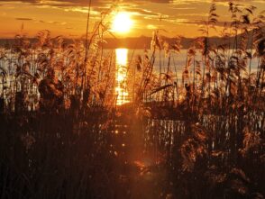 ea18dc50-da3c-46ac-aa00-645562ec9a3b