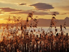 f923ae8d-5310-4224-9500-95b57f53cfc9